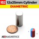 12mm x 25mm N52 Diametric Neodymium Magnet Cylinder 15/32" x 63/64" - 12x25mm 12mm x 25mm N52 Diametric Neodymium Magnet Cylinder 15/32" x 63/64" - 12x25mm
