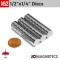 1/2in x 1/4in N52 Rare Earth Neodymium Magnet Discs